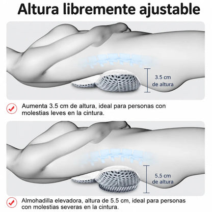 Almohada Lumbar - Encantory